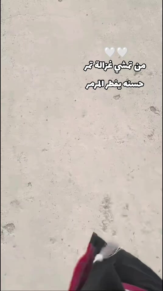 @🌷نـــــــ☆ــور🌷