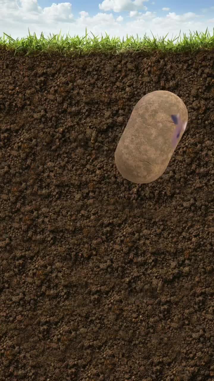 @that_singingpotato