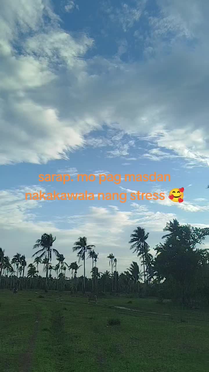@maldita#00🛳️
