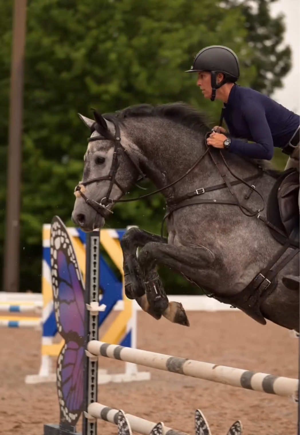 @Free Ride Equestrian