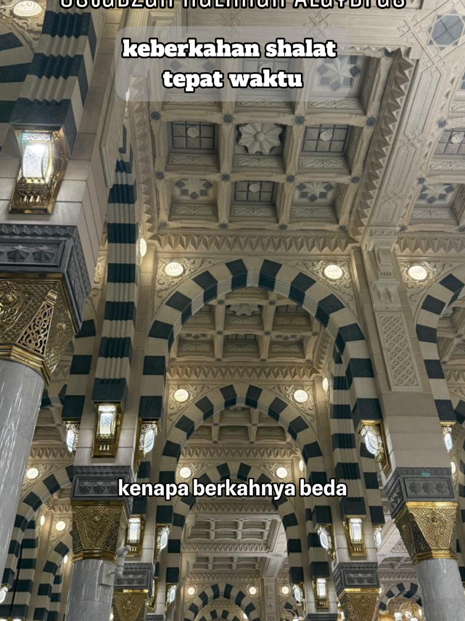 @nokulfah