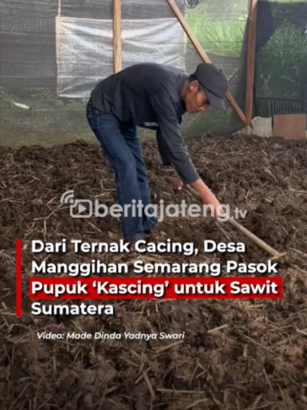 @Beritajateng.TV