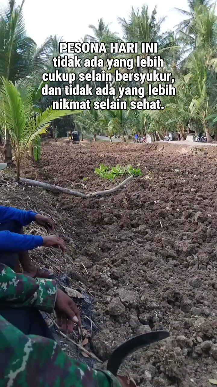 @Nanok Es