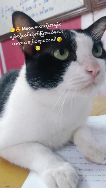 @ðððwanatun or suriyaððð