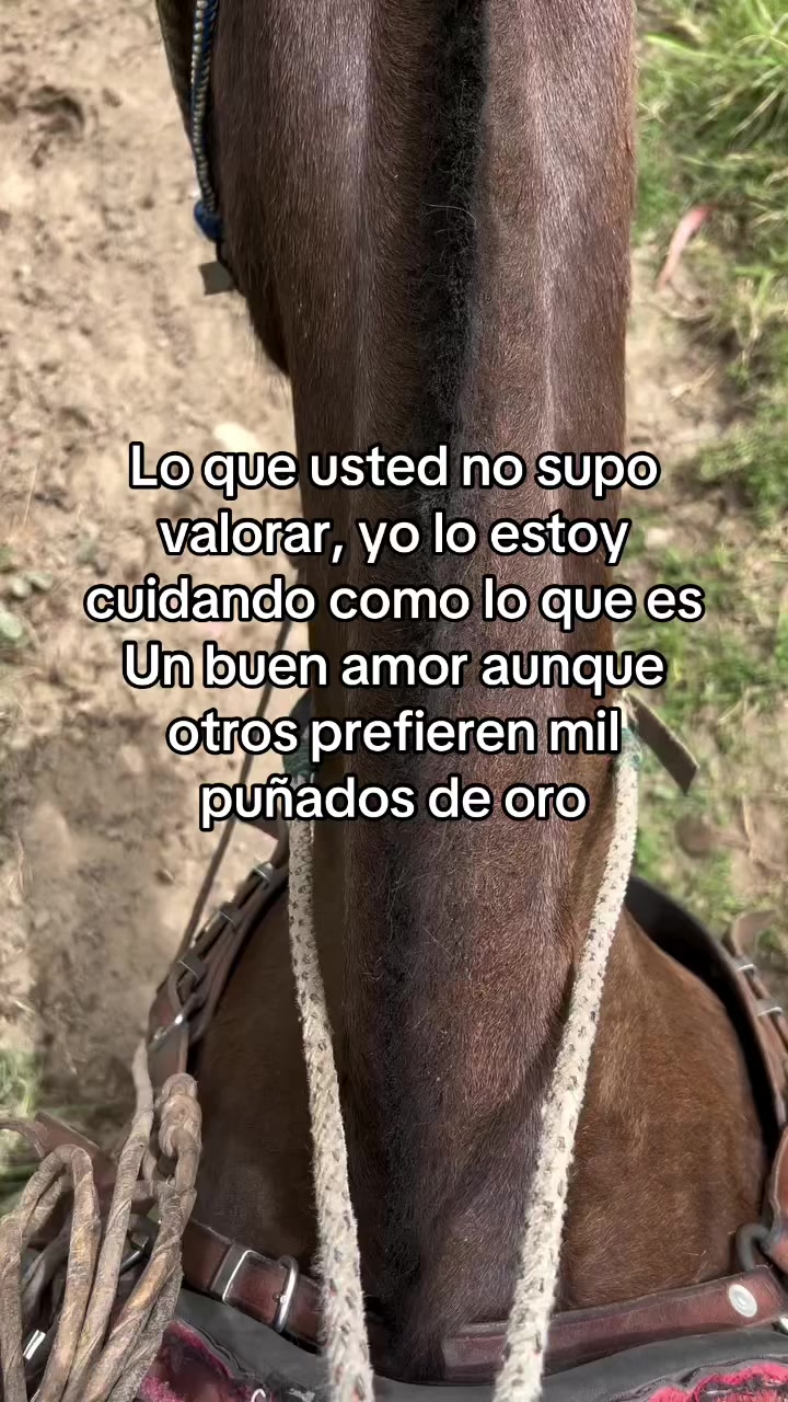 @Andrés