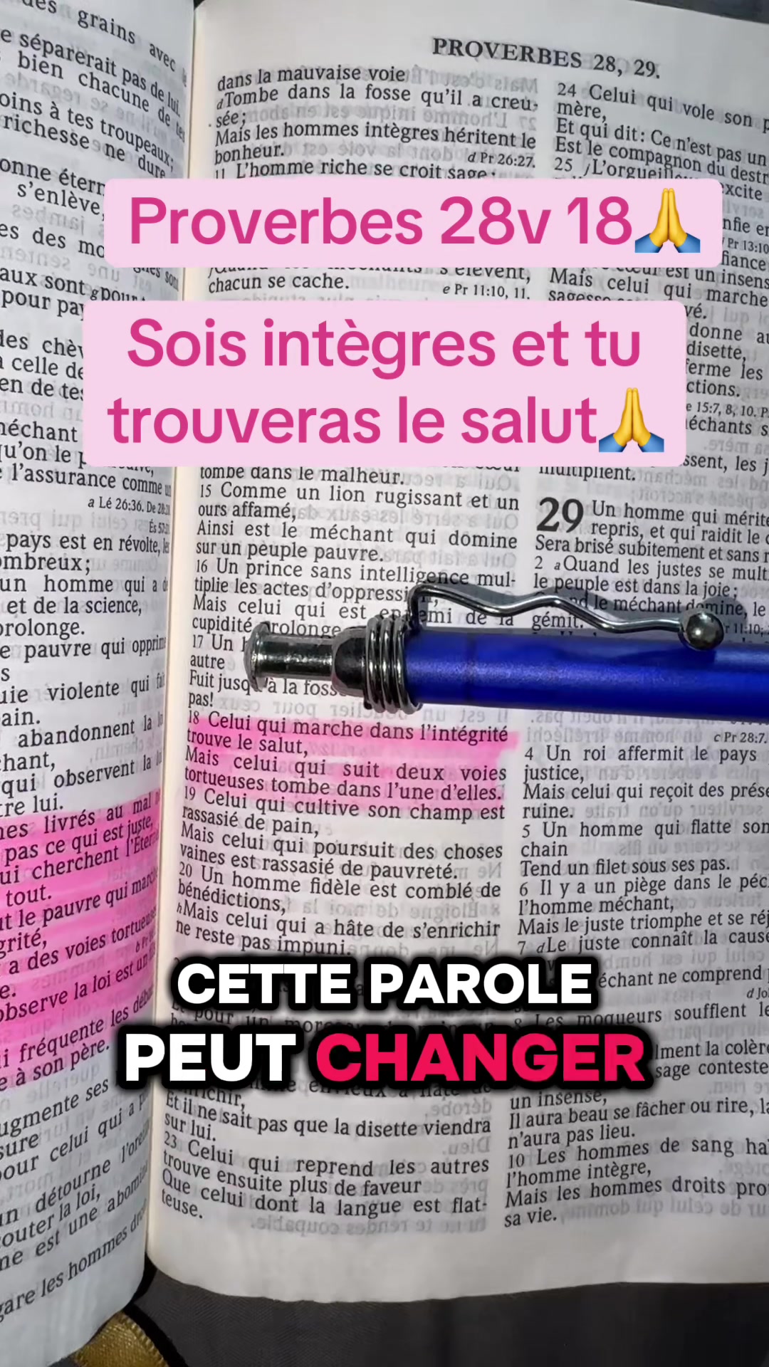 @ChrisAfro🌺🌹