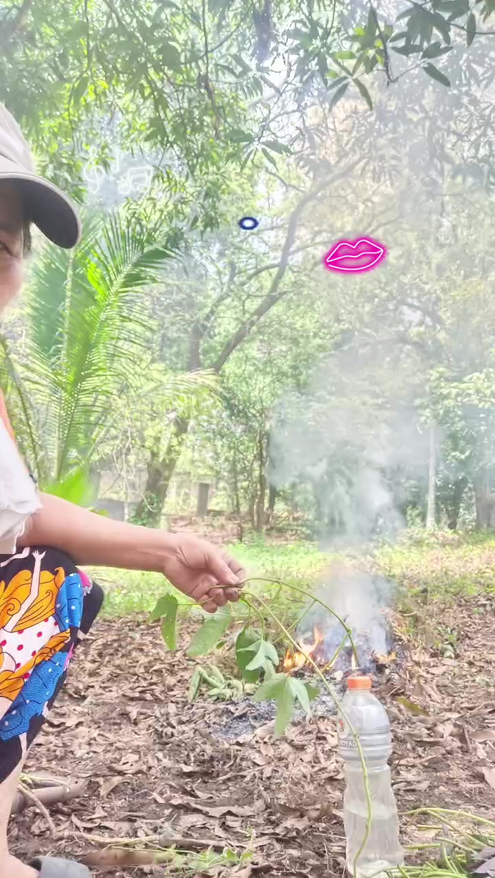 @Erlinda Elias495
