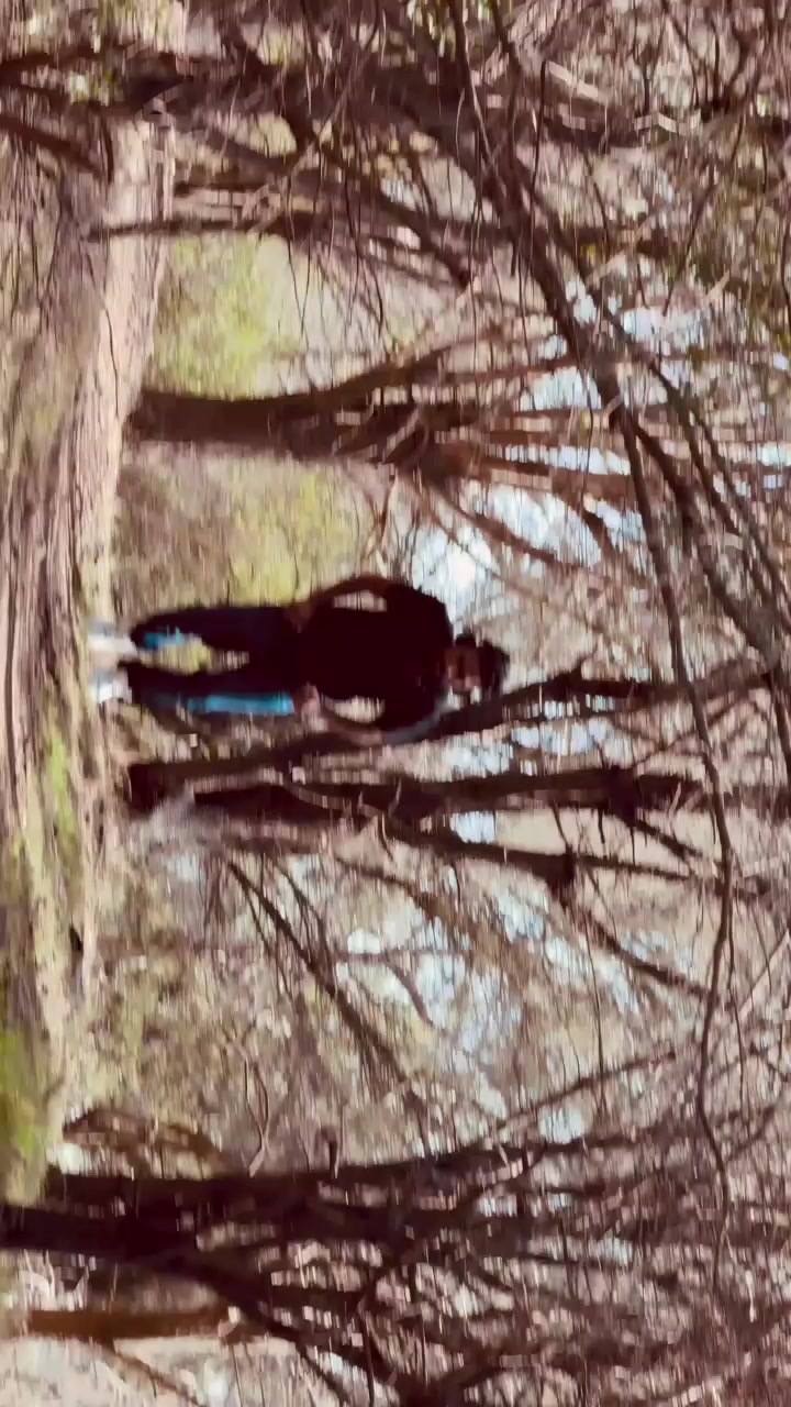 @aqibbaloch0022🇦🇺