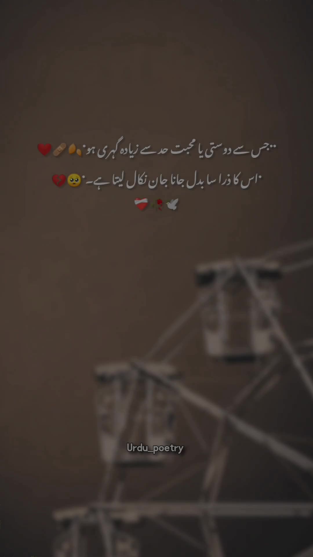 @𝐃𝐞𝐞𝐩 𝐥𝐢𝐧𝐞𝐬 ✨