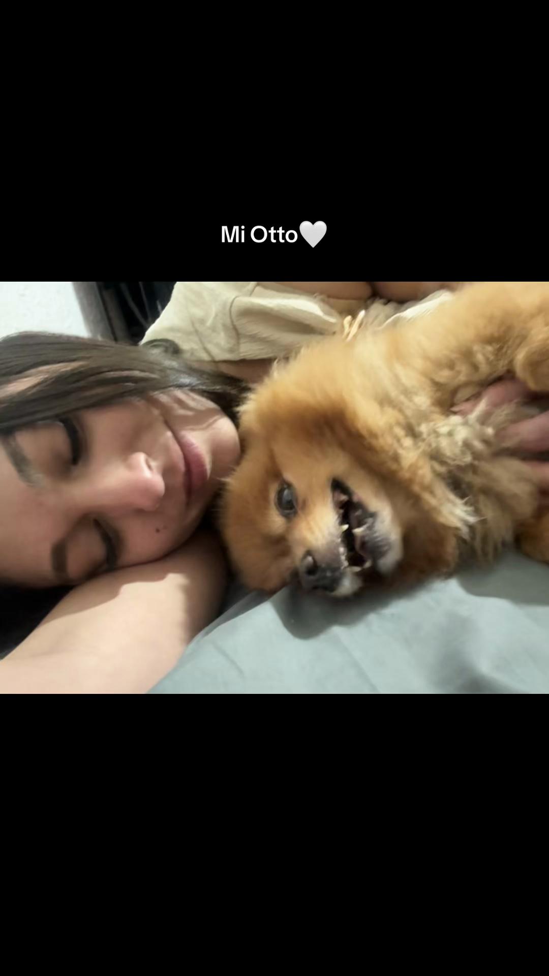 @CennyMoncada🧸🇻🇪