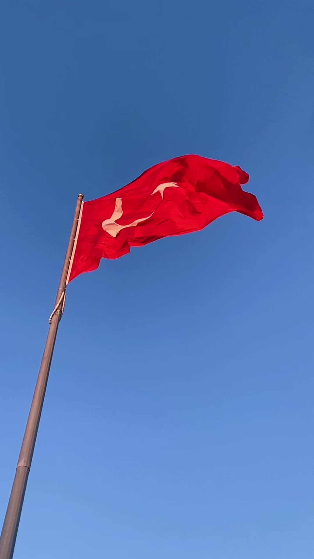 @ozerakyol
