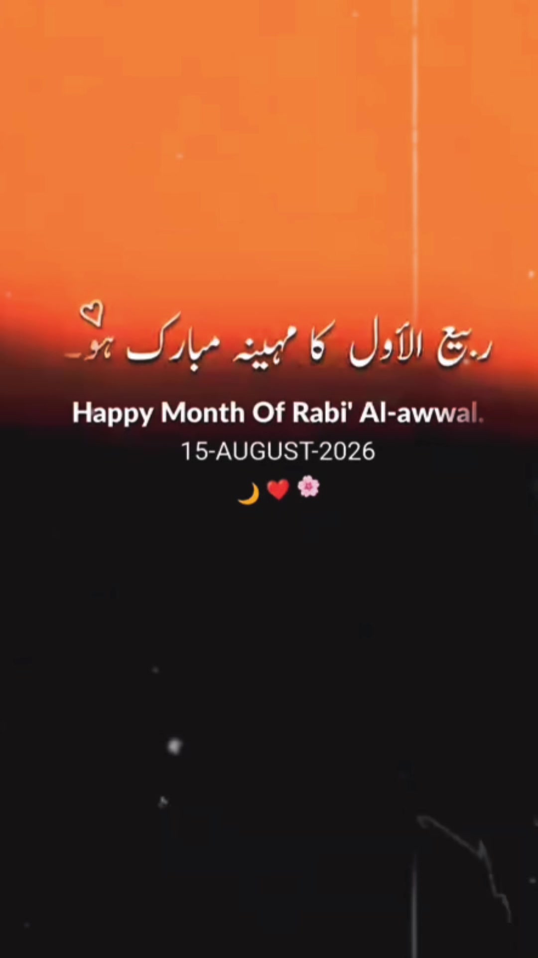 @alijawadrajpoot007