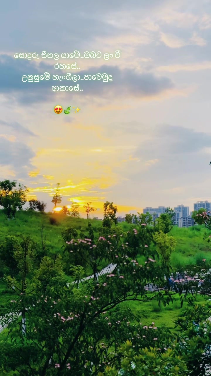 @𝐀 𝐍 𝐔 🇨🇳 🥷