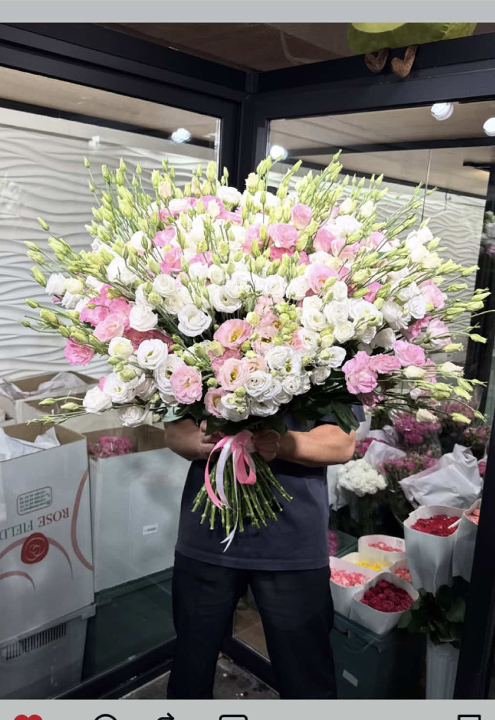 @33Rose