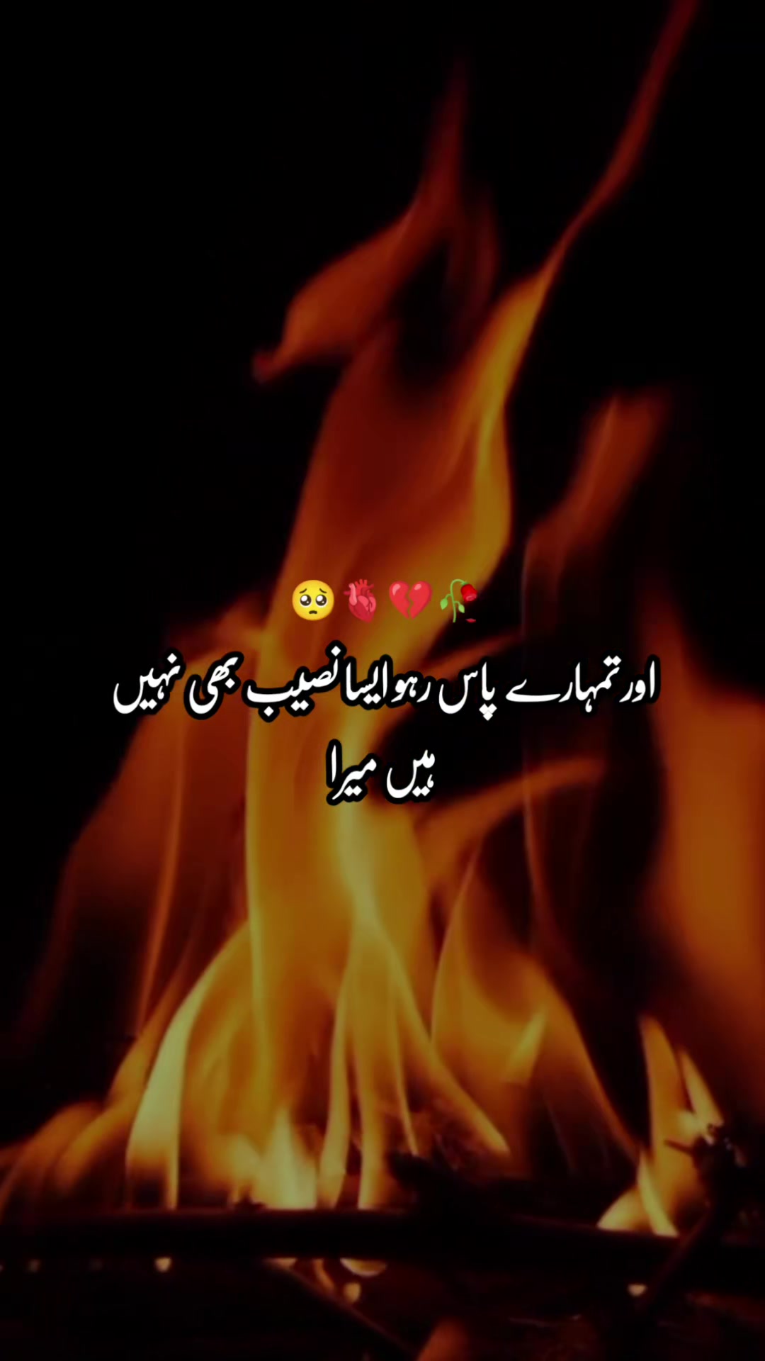@Ayesha