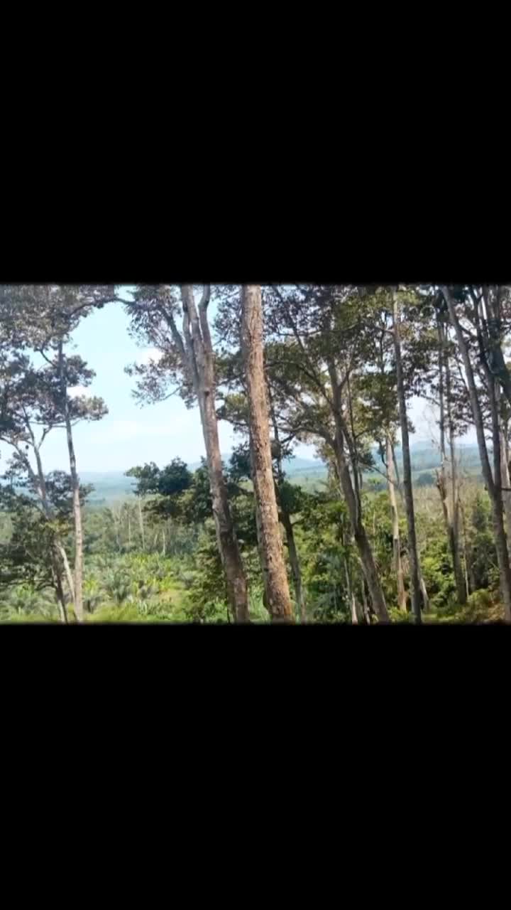 @Yusuf. cuc🙏🙏