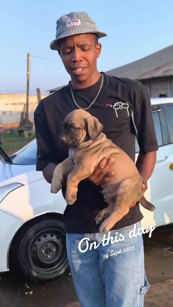 @Tebza Ke&ntilde; M&ntilde;dau