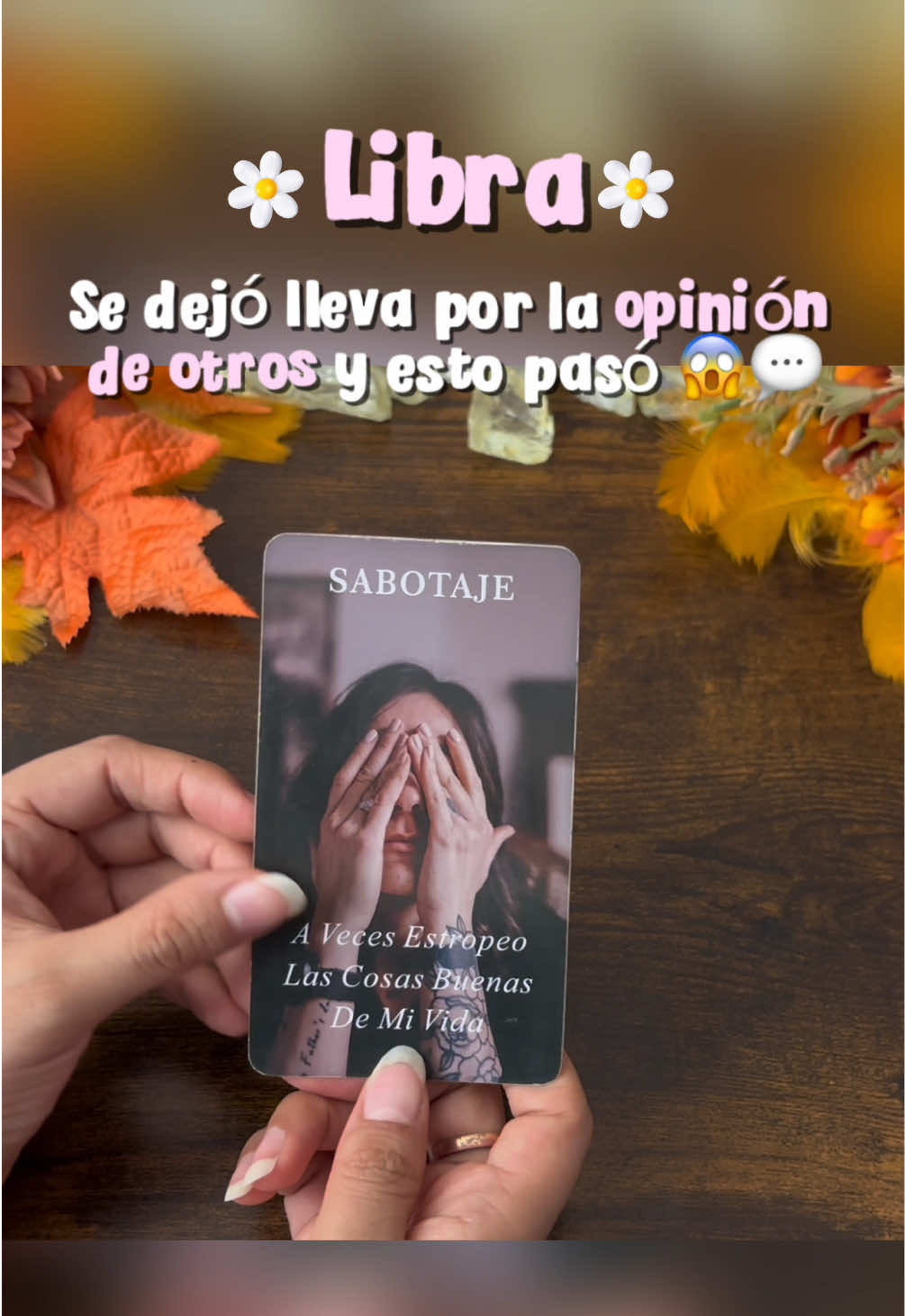 @Andy Sun Tarot ☀️