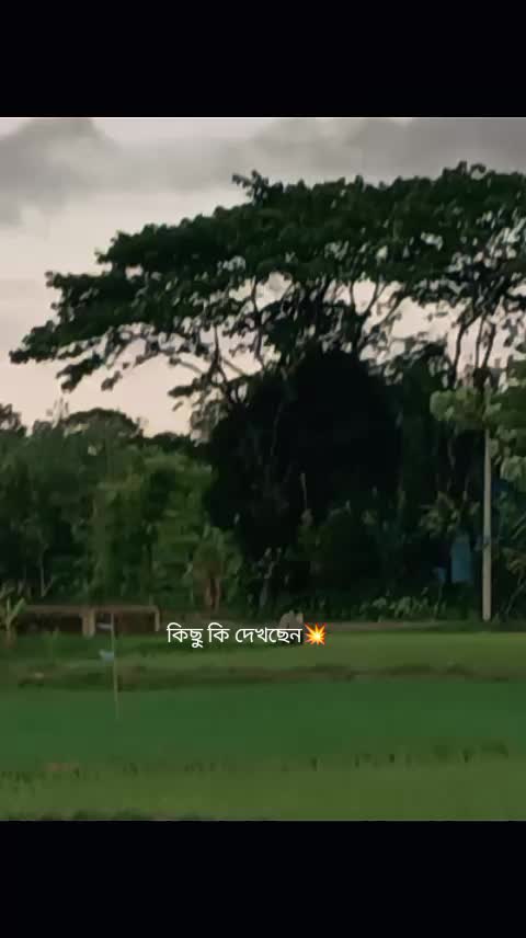 @꧁⪻🇧🇩❤️𝙍ᵤ𝒎ⲗ𝓷❤️🇮🇹⪼꧂