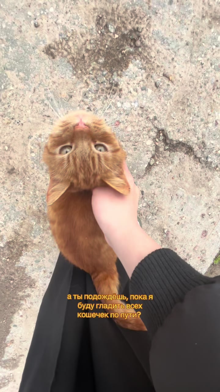@валерьянка