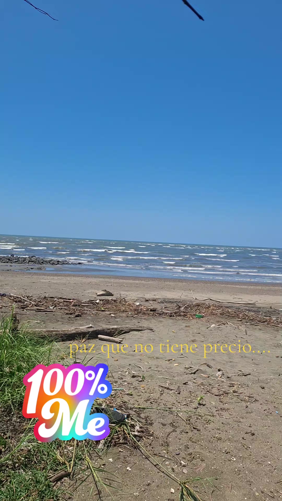 @manuel Gonzalez