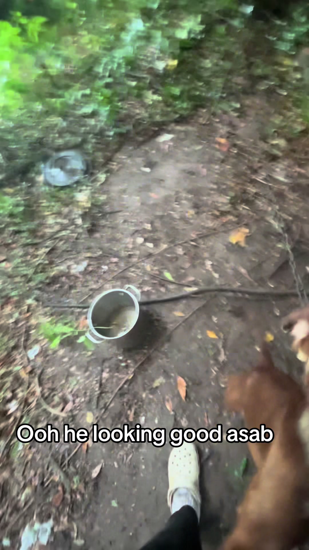 @kamwithapbt