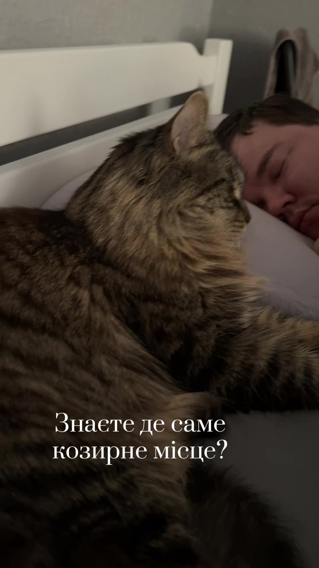 @Семенович