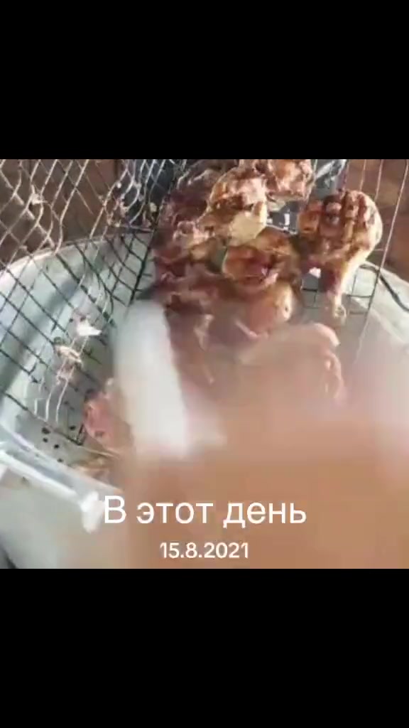 @Гуля