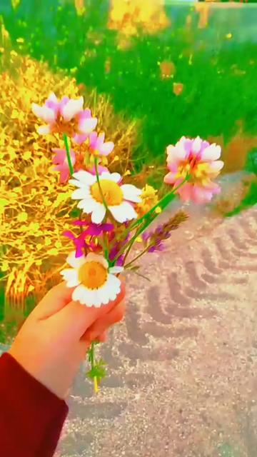 @NEFİS YEMEK TARİFLERİ