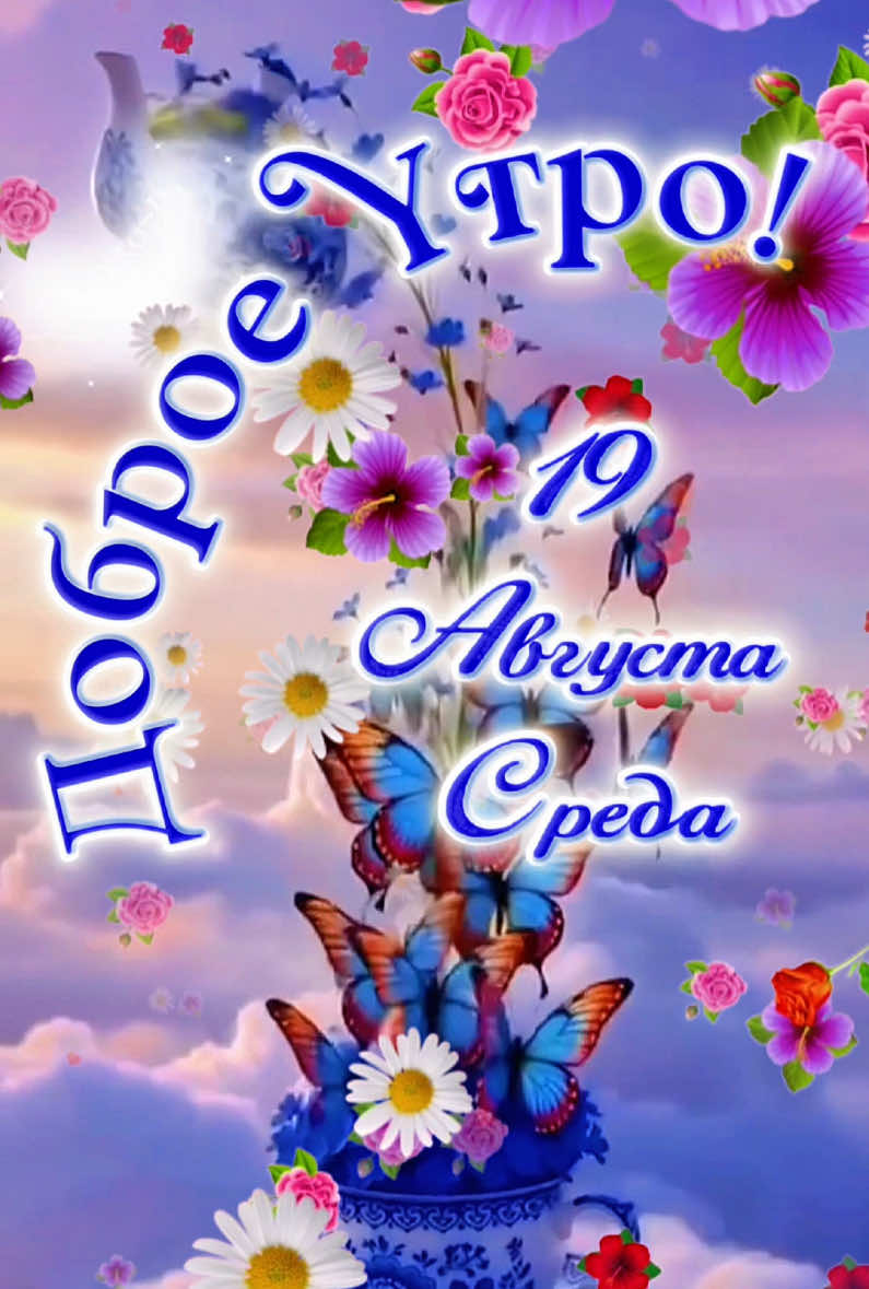@elenapoodleyork01061958