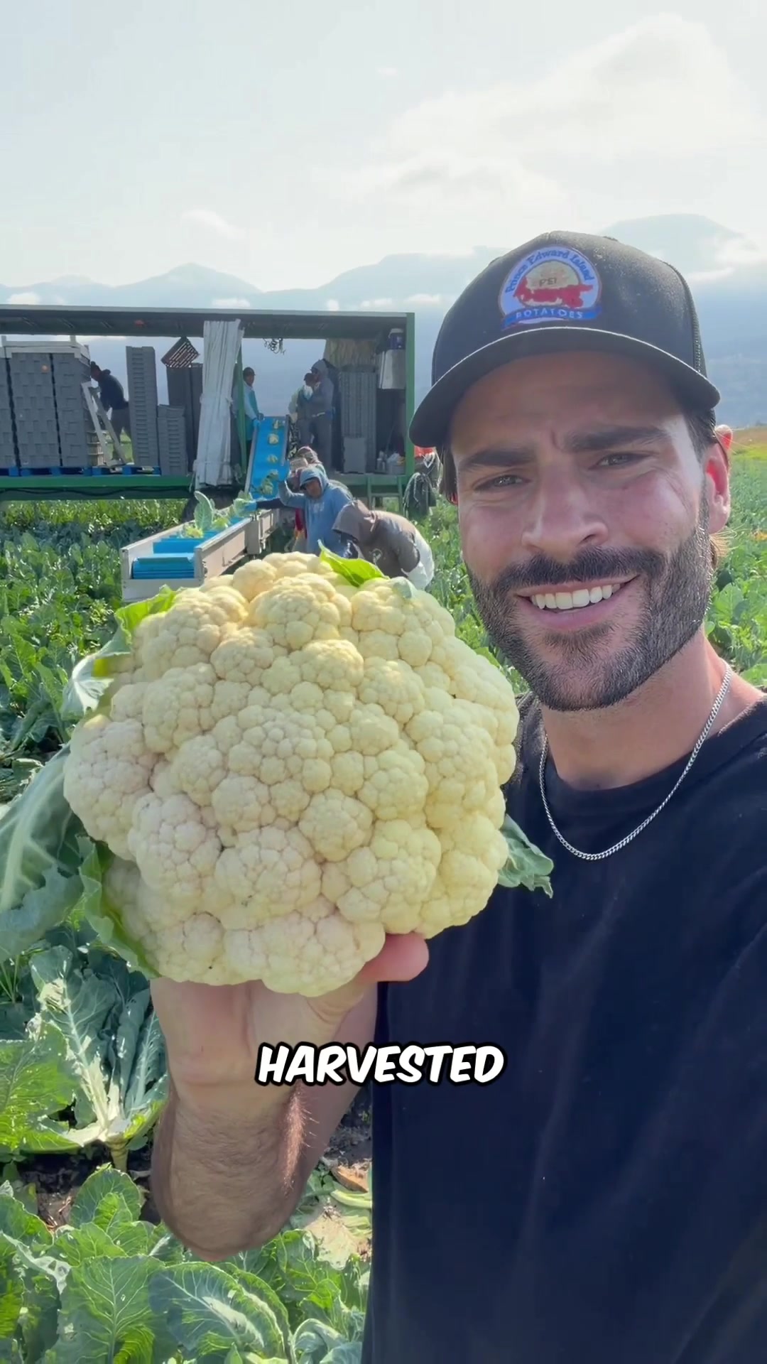 @Potato Ty