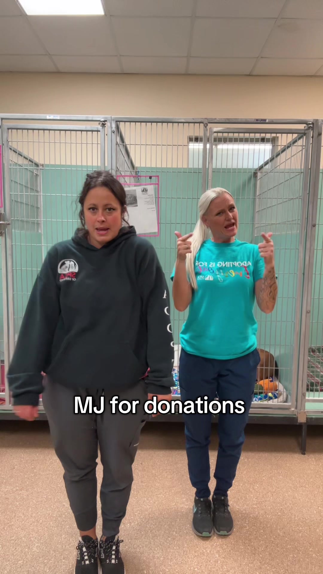 @2vettechs