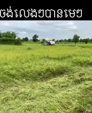 @តៃកុង វ័យក្មេង🌾🚜