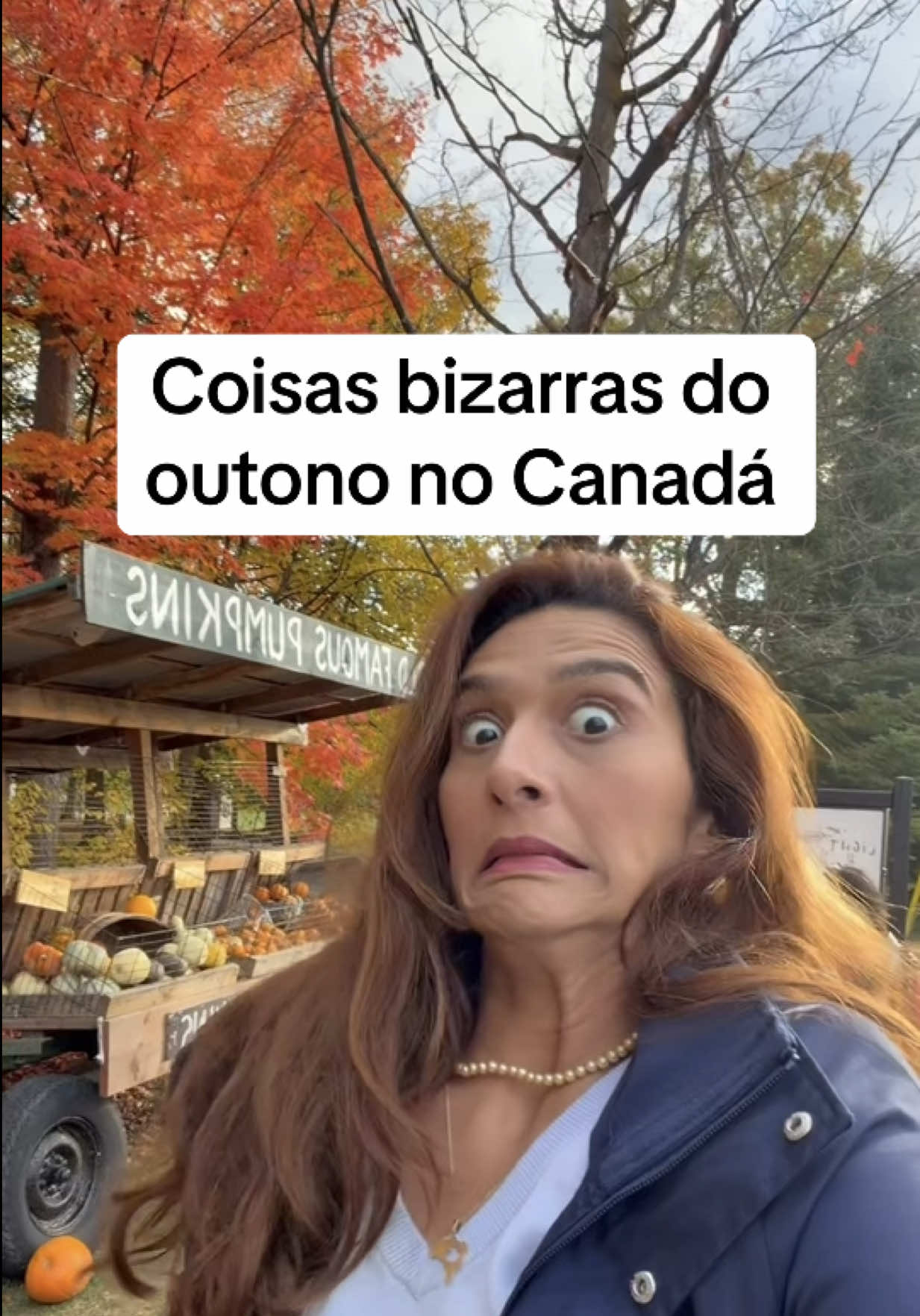 @Farofa de Maple