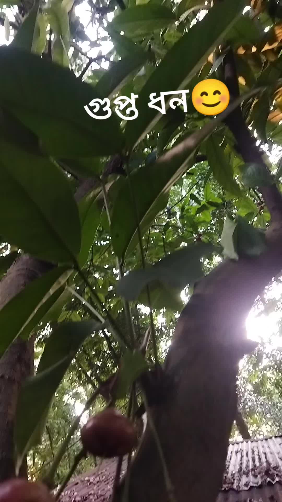 @Ň&icirc;v&acirc;_Kumar