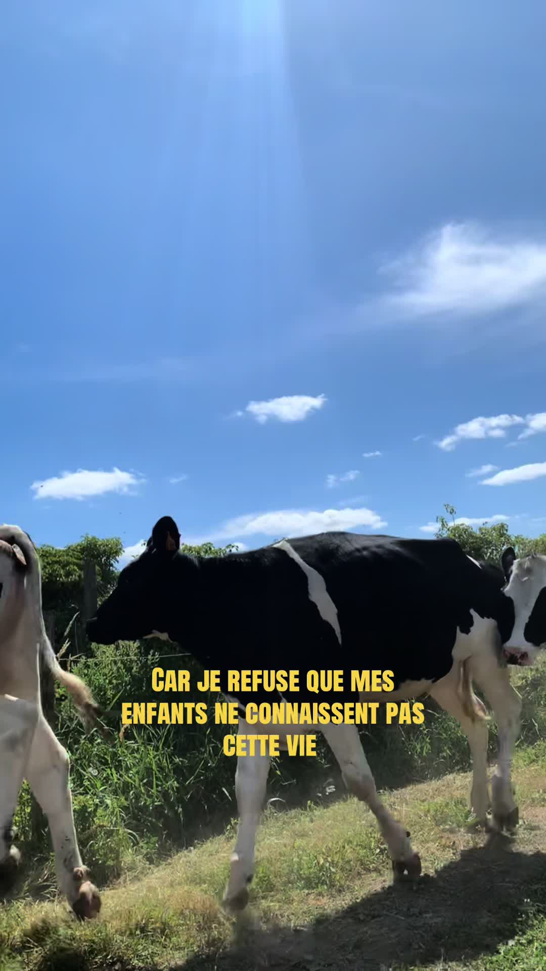 @nadiya🐮