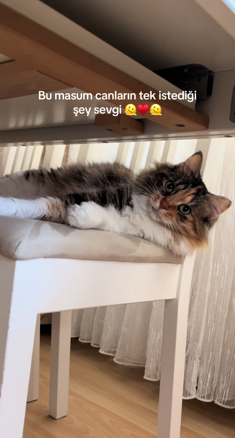 @konusankediminnos