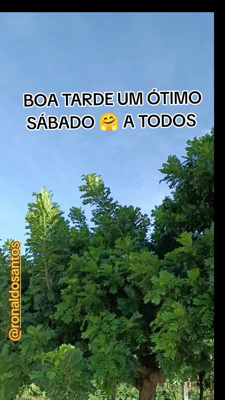 @ronaldosantos