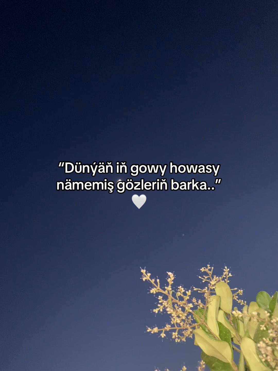 @ballyýevvv