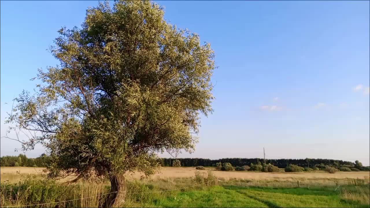 @Правилъс Каардъ