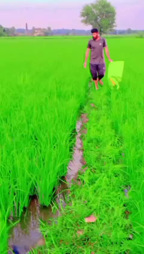 @BUTT :-*🌹🌹🌹