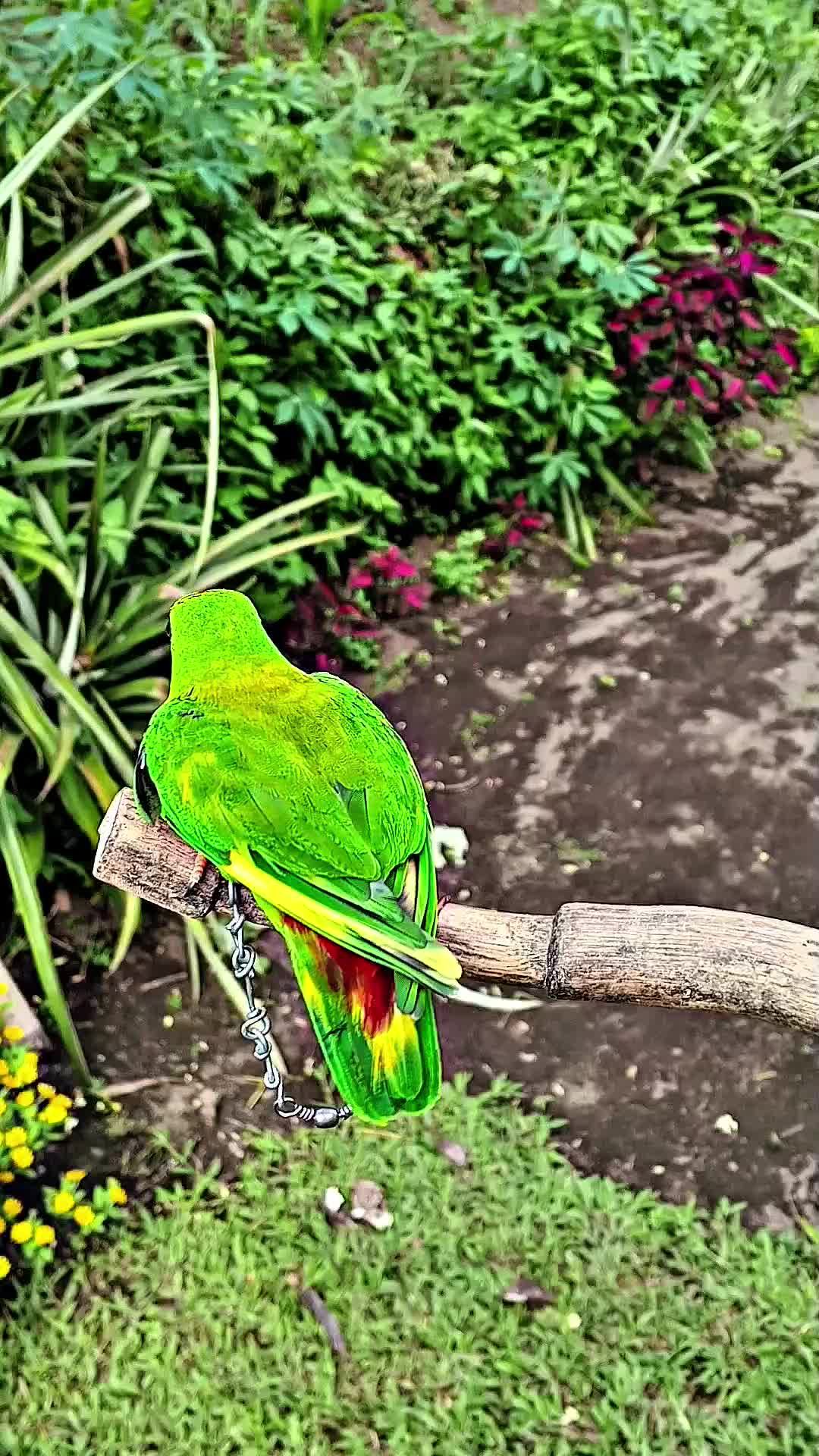 @PJr. EXPLORE