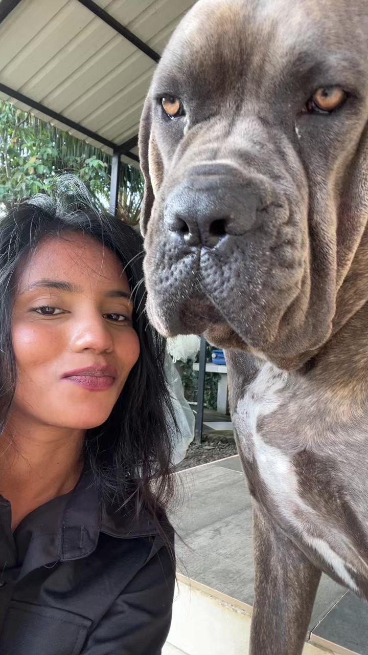 @Mafiacanecorso