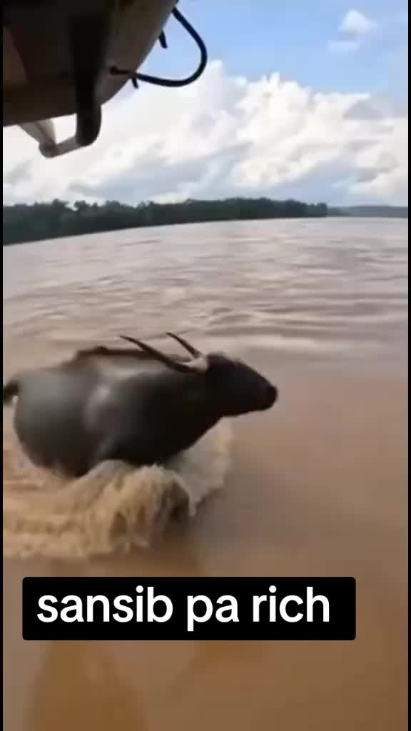 @+50940946546