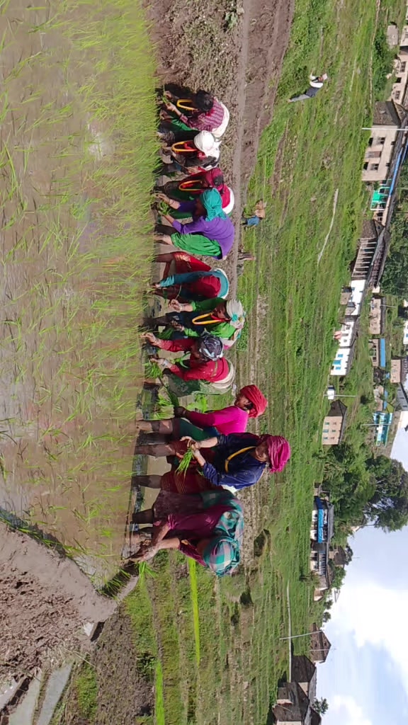 @एक्लि बुहारी ❣️❣️