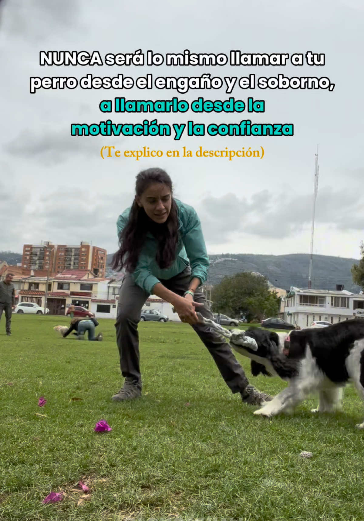 @Somos Guaw educación camina