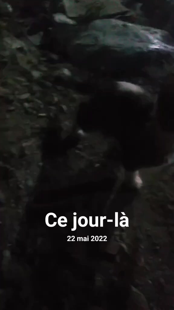 @BoBDjelili