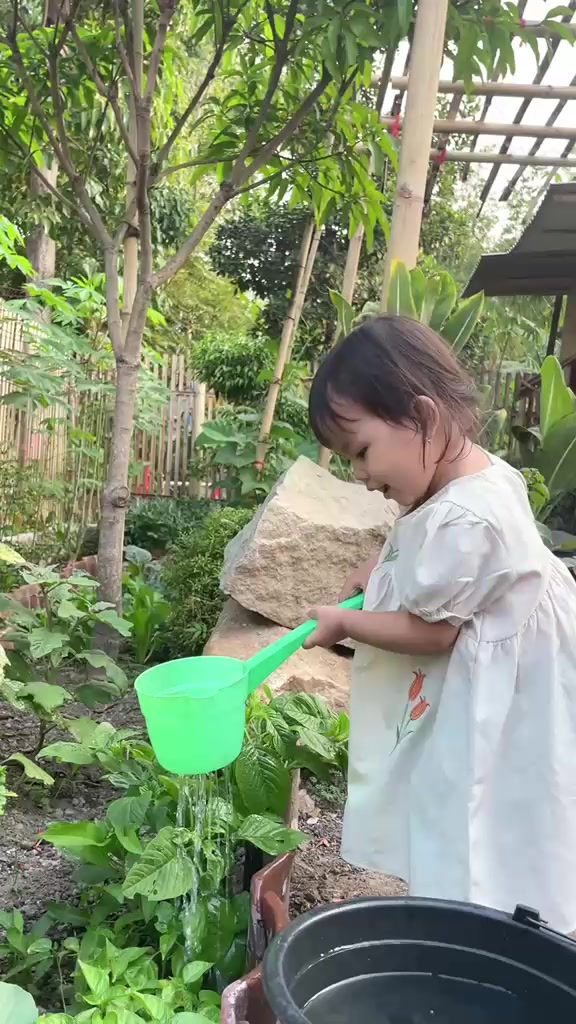 @sari Triani
