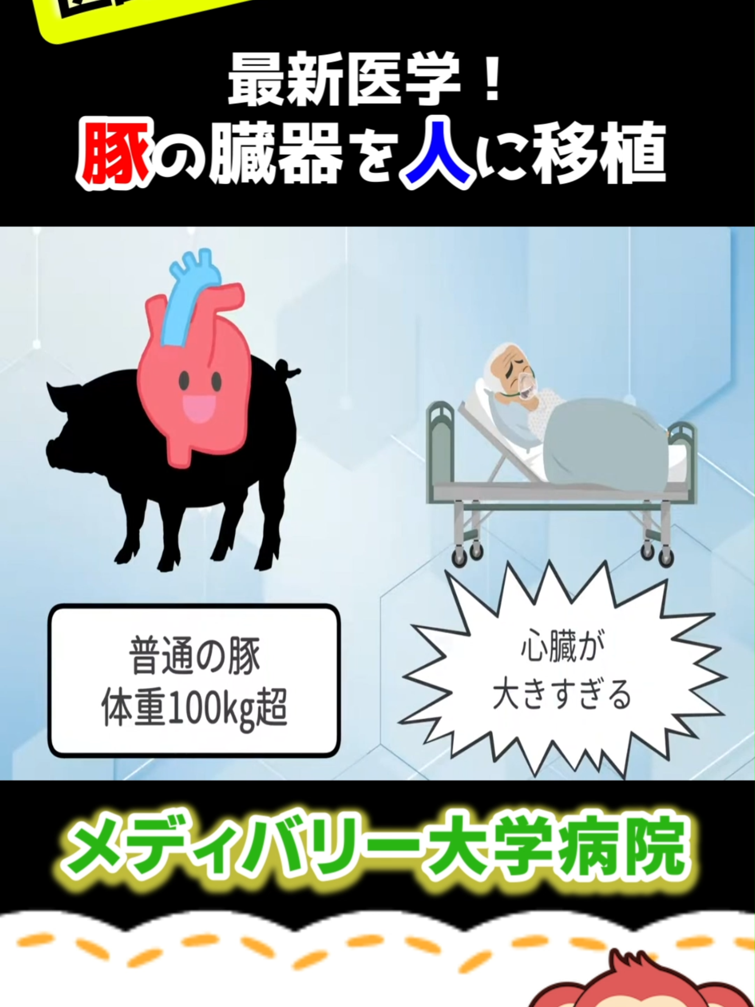 @メディバリー大学病院【医師監修】