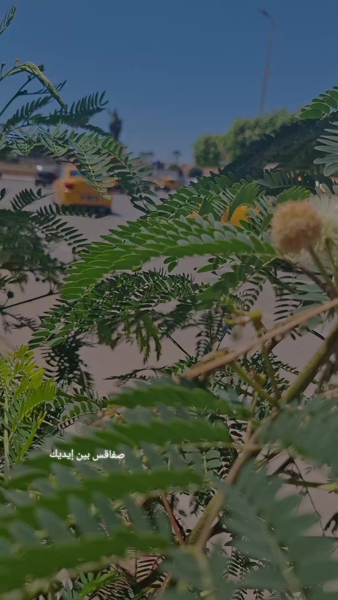 @صفاقس بين ايديك